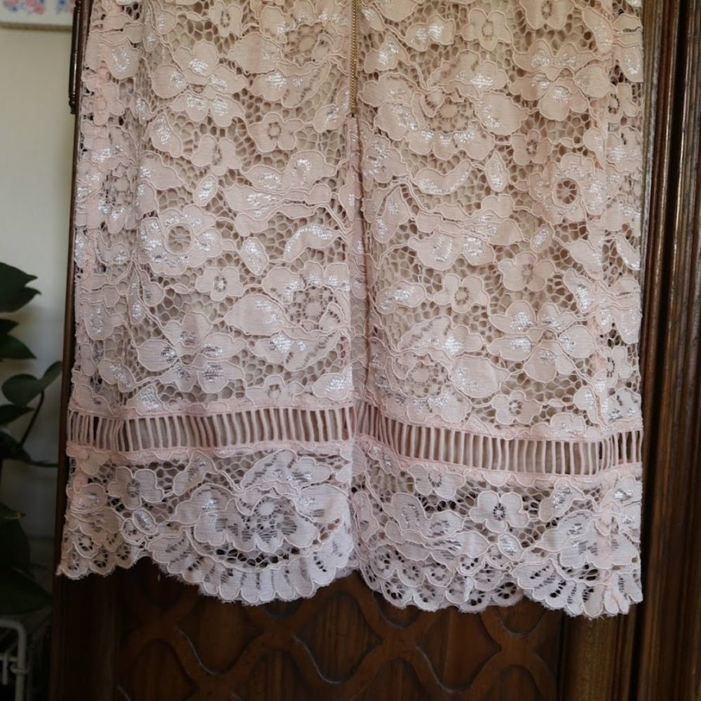 PERCEPTIONS New York Blush Nude Lace Sheath Dress - NWT! - Picture 8 of 16